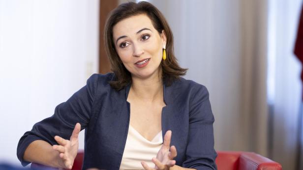 Zadić will Änderungen bei Bestellung des BVwG-Präsidenten