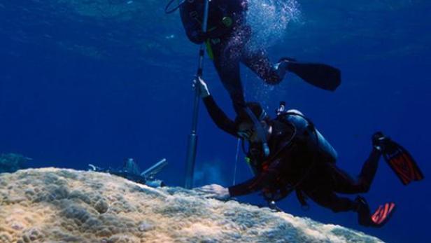 Bohrung eines Korallenskelettkerns im Great Barrier Reef