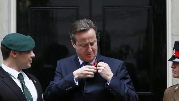 Cameron: Durchwachsene Beziehung zur Mohnblume