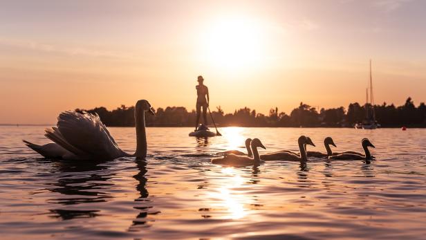 Bodensee im Sonnenuntergang.