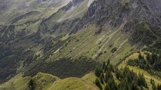 Ein fast unentdecktes Tal in Vorarlberg: Auf Gipfeltouren im Großen Walsertal