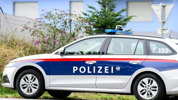 NIEDERÖSTERREICH: ZWEI KINDER UND WEITERE PERSON IM BEZIRK TULLN TOT AUFGEFUNDEN