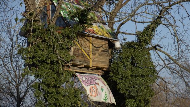 Ostumfahrung Wiener Neustadt: Von Gegnern gebautes Baumhaus geräumt