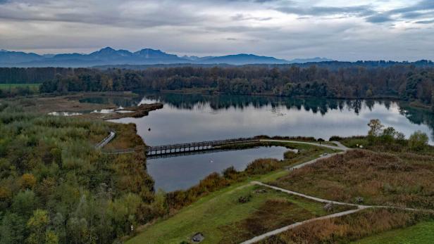 Die Weitwörther Au (im Bild) soll gemeinsam mit der benachbarten Antheringer Au einen Naturpark vor den Toren der Stadt Salzburg an der Salzach bilden