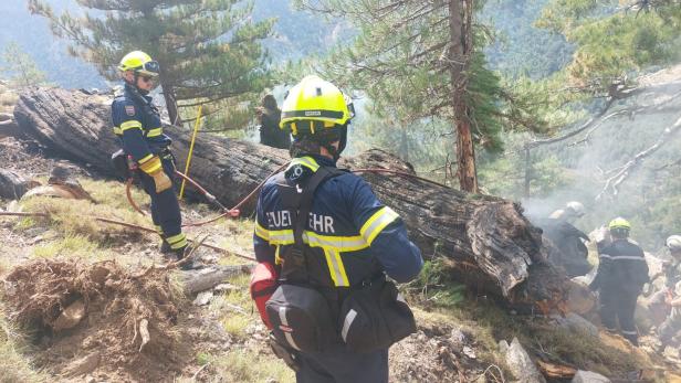 Niederösterreicher rangen Waldbrand auf Korsika nieder