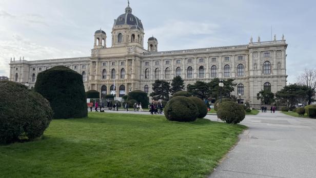 Naturhistorisches Museum retourniert 846-teilige Fossilsammlung