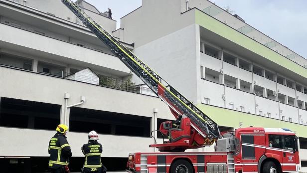 Trotz Flucht über Dächer: Einbrecher in Wiener Neudorf gefasst