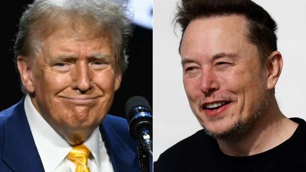 Donald Trump und Elon Musk