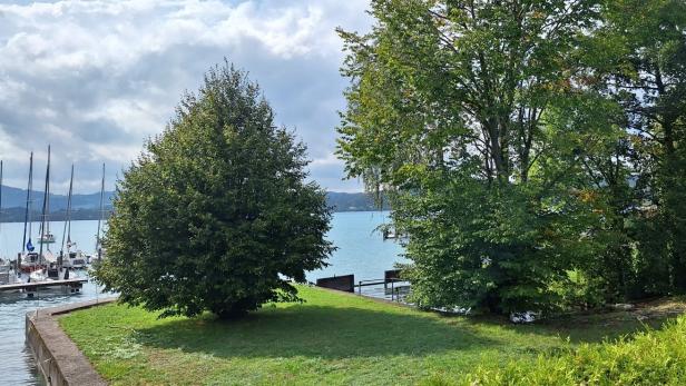 Öffentlichkeit bekommt mehr Zugang zum Attersee