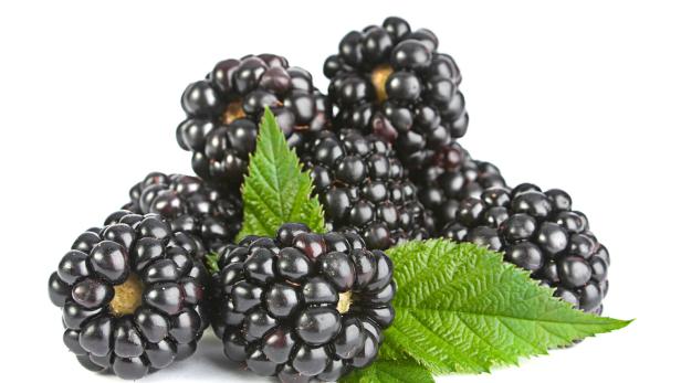 Eine Gruppe frischer Brombeeren mit grünen Blättern.