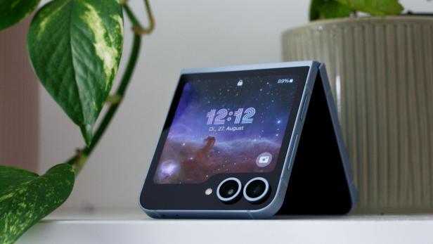 Ein blaues Falt-Smartphone steht zwischen zwei Zimmerpflanzen.