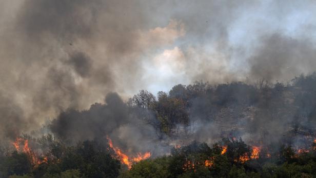 Waldbrand: Erneuter Großeinsatz nahe Adria-Touristenhochburg