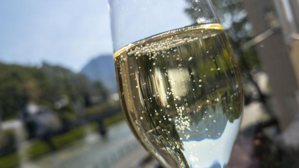 Ein Glas Sekt mit Blick auf eine grüne Landschaft.