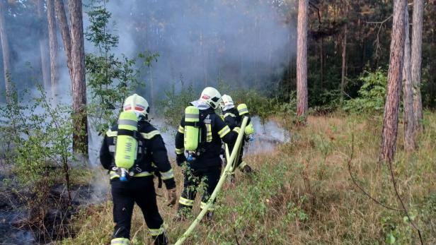 Hitze und Trockenheit: Waldbrand im Föhrenwald forderte die Einsatzkräfte