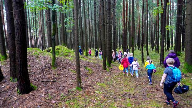 Archäologische Aktionstage in Grafenschachen zum Mitmachen