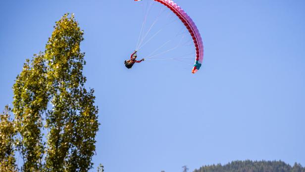 In Baumkrone gelandet: Paragleiter hing fest