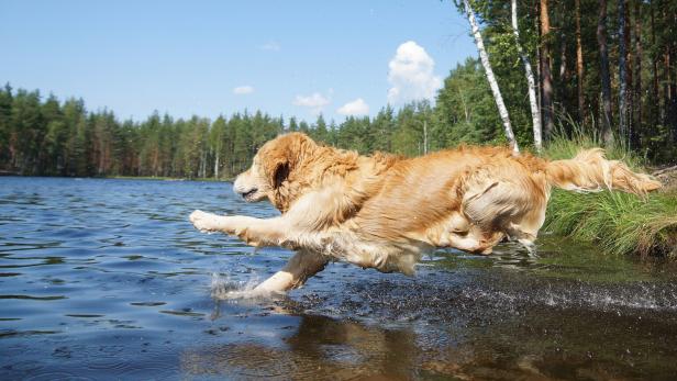 Wetter diese Woche: Sommer bleibt uns noch erhalten