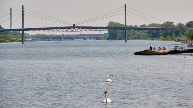 Donauwasser gegen die Dürre: Lösung für den Osten Österreichs?