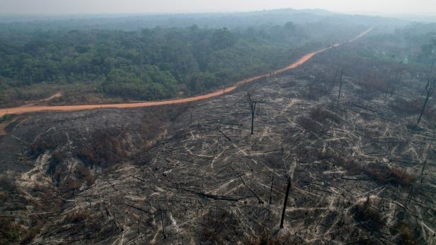 In Brasilien toben die schwersten Waldbrände seit 14 Jahren