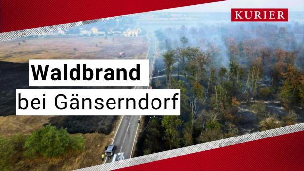 Teile Evakuiert: Waldbrand bei Gänserndorf