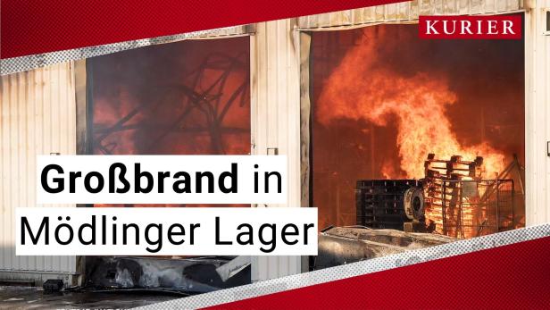 Großbrand in Industriezentrum NÖ-Süd