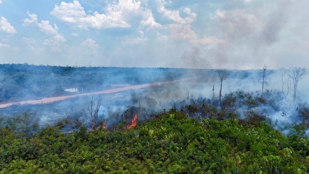 Tag des Amazonas: "Wald für Rinder und Soja abgefackelt"