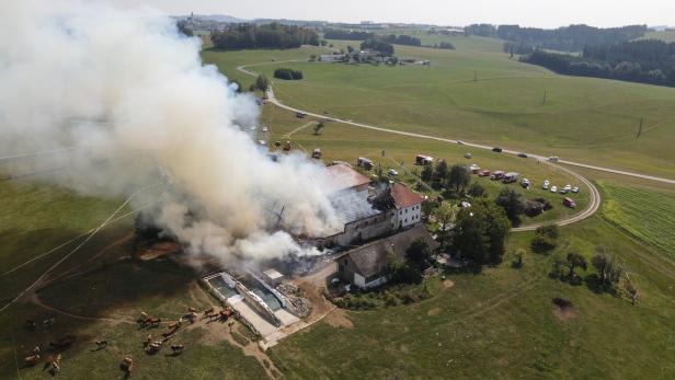 Bauer zündete Wespennest an: Folgebrand zerstörte ganzen Stall