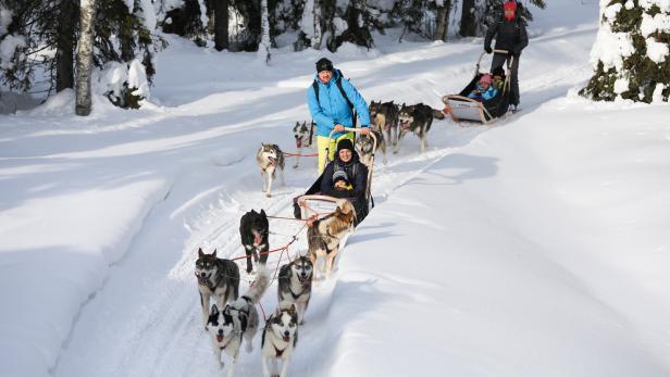 Zwei Huskyschlitten fahren auf einer präparierten Spur. 