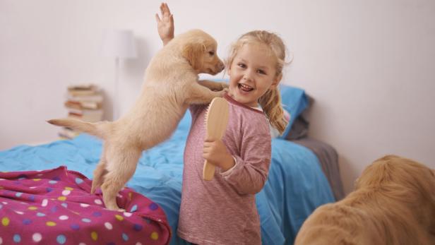 Hunde senken bei Kindern Asthmarisiko