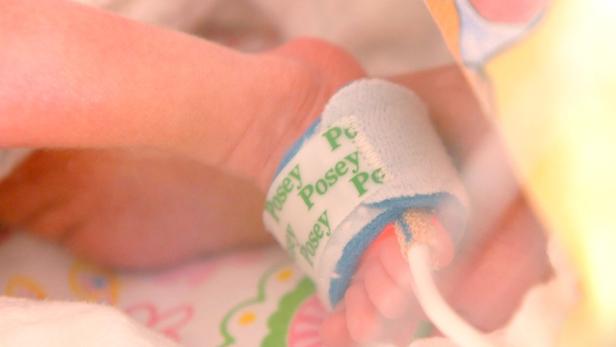 Bilder: Eine Handvoll Leben