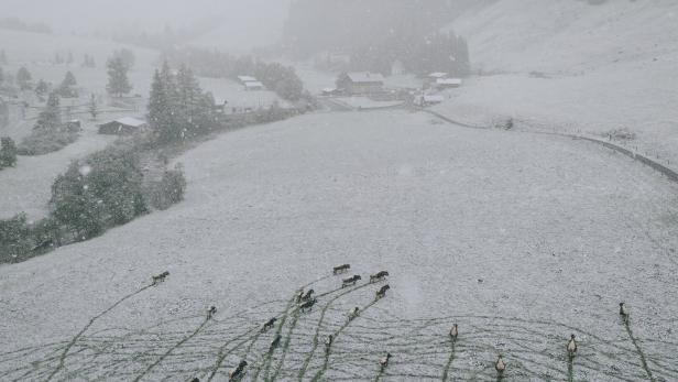 Experte über Unwetter: "Keinesfalls ein Extremhochwasser"