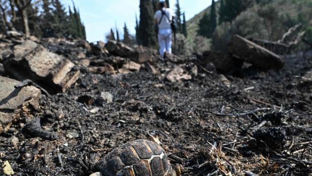 Israel zerstörte Raketenfabrik in Syrien mit Bodentruppen