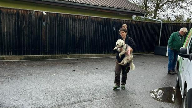 Frau trägt Hund