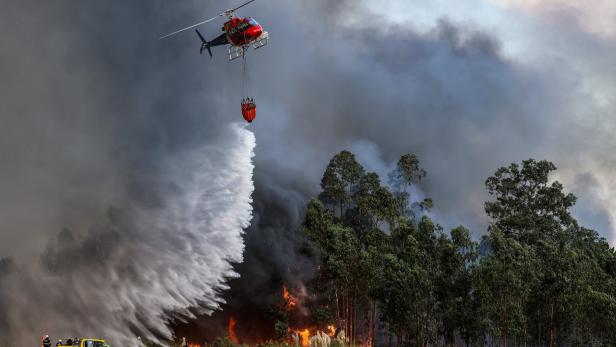 Mindestens drei Tote bei Waldbränden in Nord-Portugal