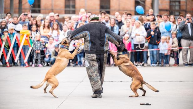 Für die ganze Familie: Am Samstag ist "Tag der Wiener Polizei"