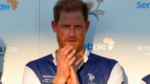 FILE PHOTO: Britain's Prince Harry participates in the Royal Salute Polo Challenge, in Wellington