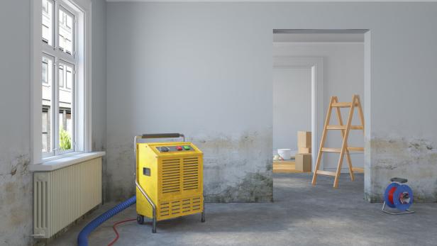 3d rendering - empty scandinavian room - dehumidifier - renovate 3d rendering - empty scandinavian room - dehumidifier - renovate