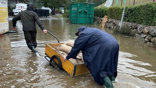 Die Flut verschonte auch das Tierschutzheim in St. Pölten nicht