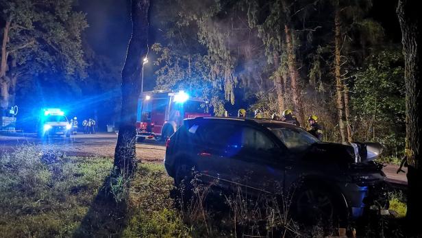 Betrunkener ÖVP-Ortschef flüchtet vor Polizei und kracht gegen Baum