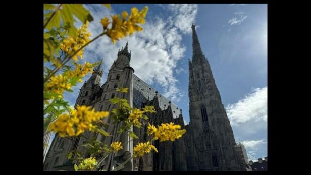 Virtuelle Entdeckungsreise durch den Stephansdom