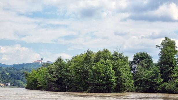 Die Insel nahe dem Südufer der Donau ist nahezu unberührt und ein Tierparadies