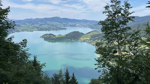 Blick durch Bäume auf einen türkisfarbenen See und grüne Hügel unter einem bewölkten Himmel.