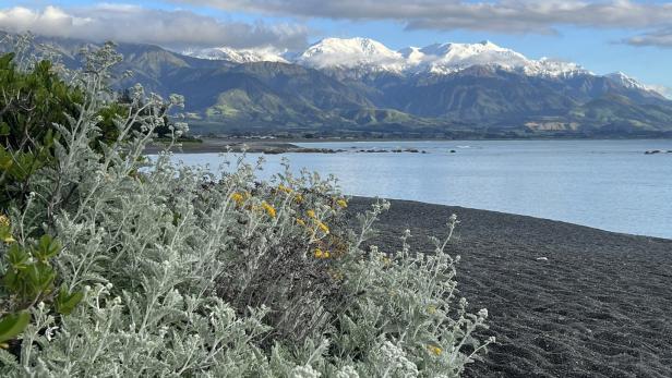 Durch die Augen der Maori: Neuseeland neu entdecken