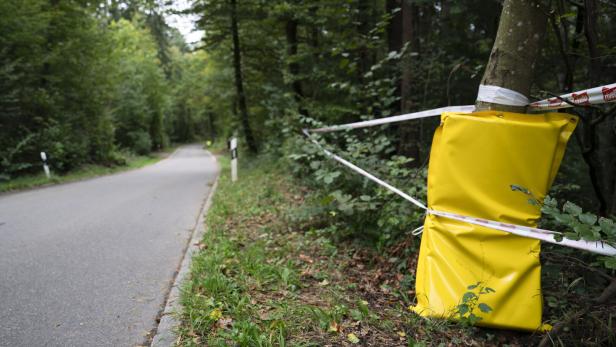 Die Unfallstelle: Hier passierte das Schreckliche