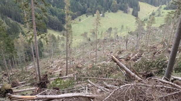 Im Rax-Schneeberg-Gebiet wurden Bäume reihenweise entwurzelt