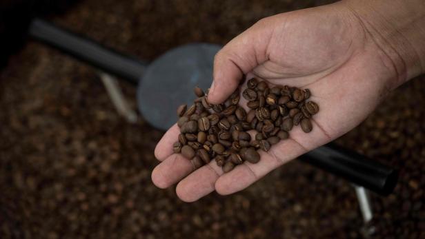 BRAZIL-ECONOMY-AGRICULTURE-COFFEE