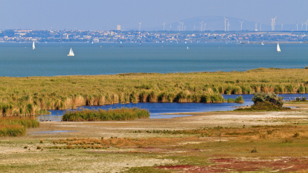 Über die Zukunft reden: Als anerkanntes Welterbe der UNESCO bildet der Neusiedler See eine perfekte Kulisse für die „Illmitzer Gespräche“.