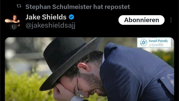 Ökonom Schulmeister teilt vor Gedenktag antisemitische Postings