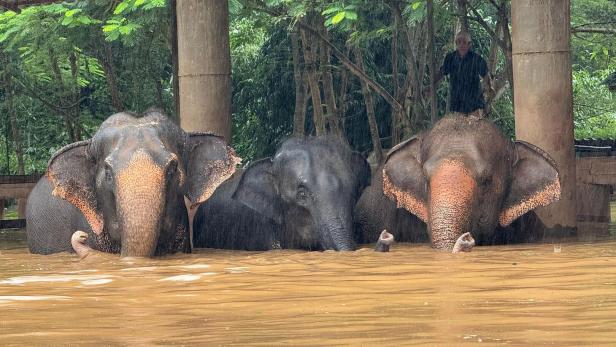 Katastrophen und Krisen (wie hier in Thailand) sind global und müssen auch so gelöst werden