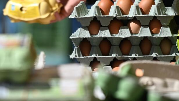 ++ THEMENBILD ++ OSTERN / OSTERMARKT / EIER 2024 war ein Rekordjahr für das österreichische Ei